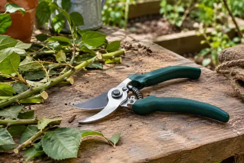 Sécateur manuel à lames en acier et poignées en plastique posé sur un établi de jardin en bois.