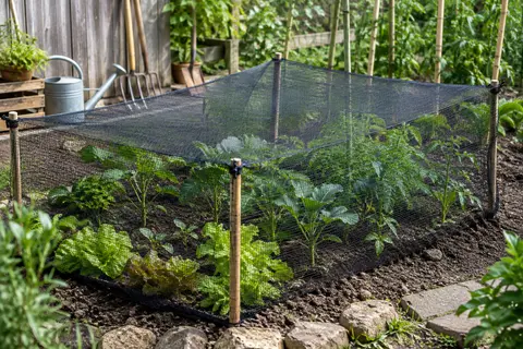 Filet noir à mailles fines tendu au-dessus de jeunes légumes dans un jardin cultivé